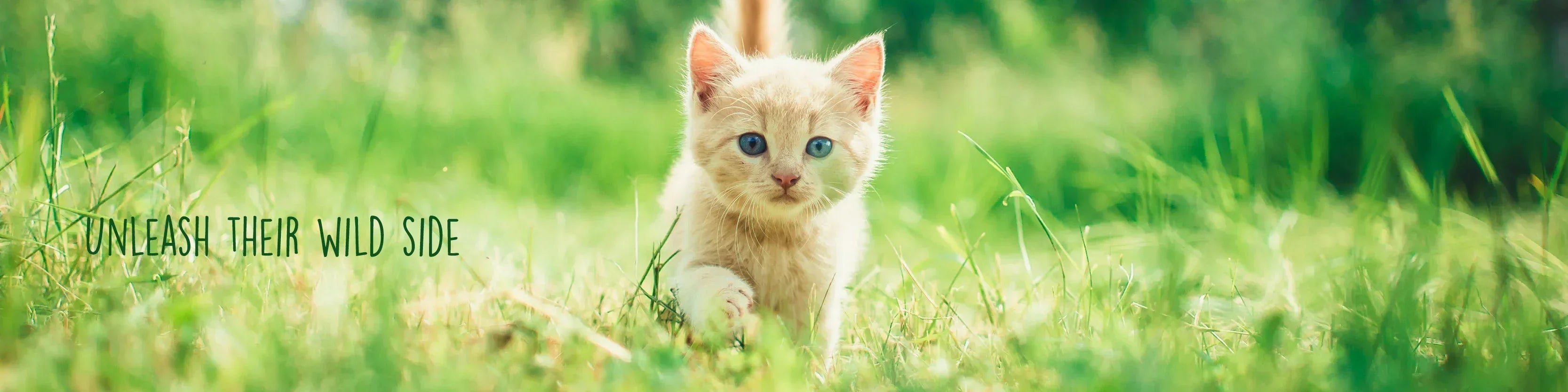 October Sale - Naturalitter & Limpia Litter