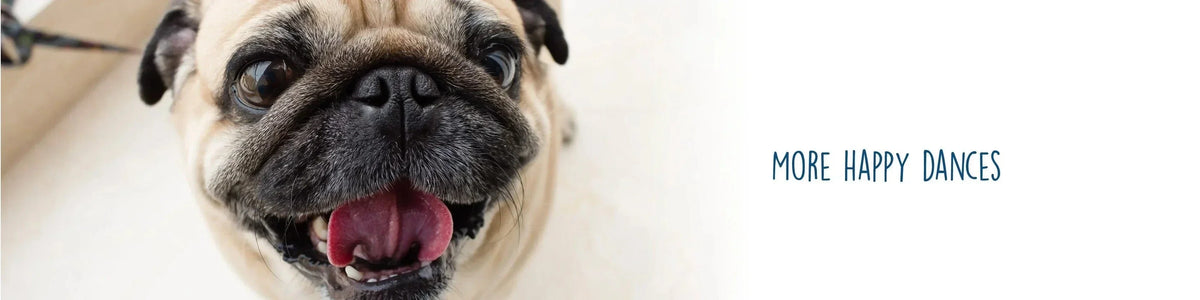 Spring Clean Up - Dog