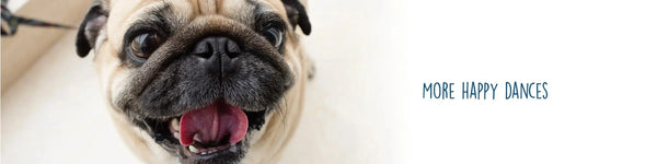 Spring Clean Up - Dog