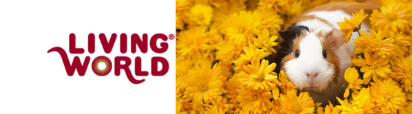 August Sale - Living World Edible Small Animal Chews &amp; Homes