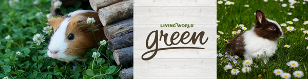 Living World Green