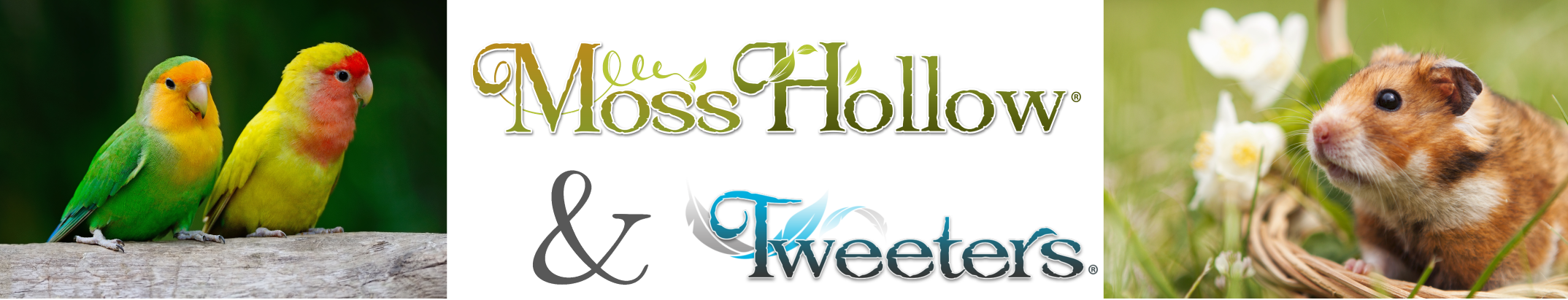 Moss Hollow & Tweeters Toys