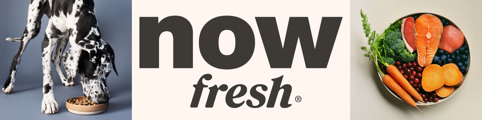 Now Fresh