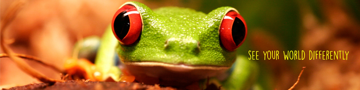 Reptile Feeding & Watering Accessories