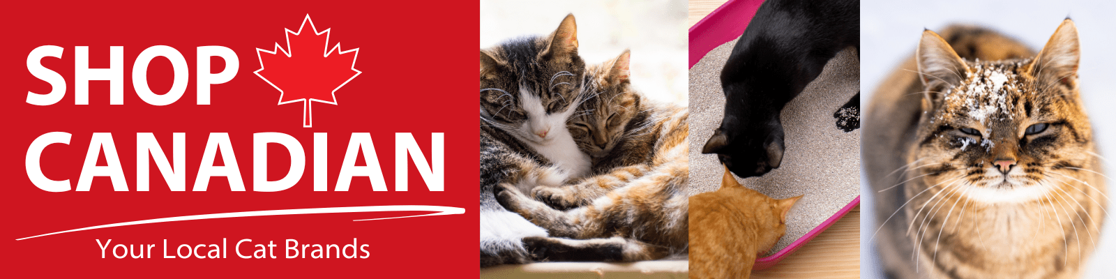 Cat Web Store Canadian Cat Products | Food, Treats & More | Petland Canada – Page 2