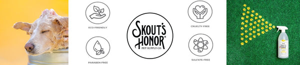 Skout&#39;s Honor