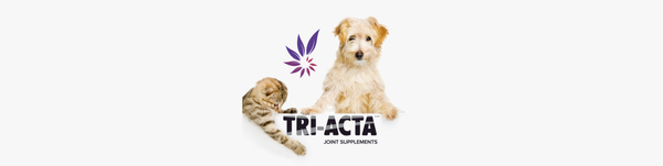 Tri-Acta