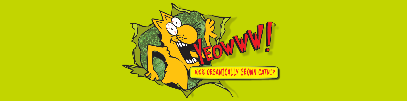 Yeowww! Catnip