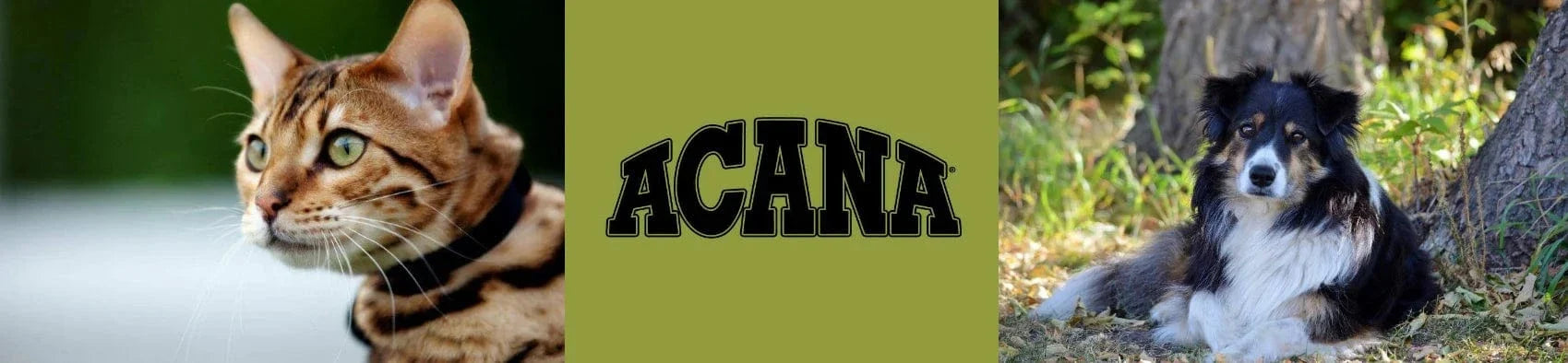 August Sale - ACANA