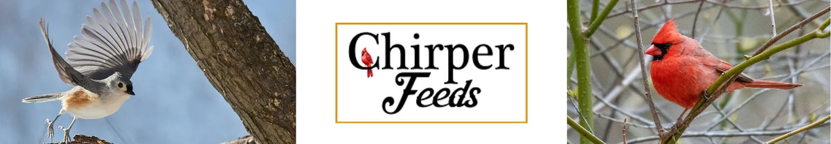 Chirper Feeds logo