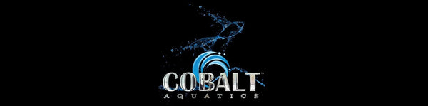 Cobalt Aquatics