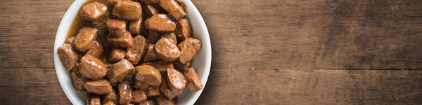 Monthly Sale; Dog Food