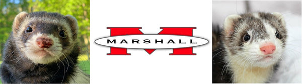 Marshall