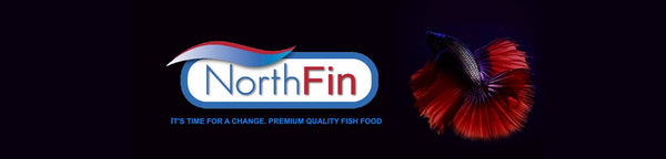 NorthFin