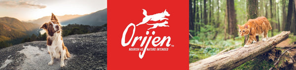 Orijen