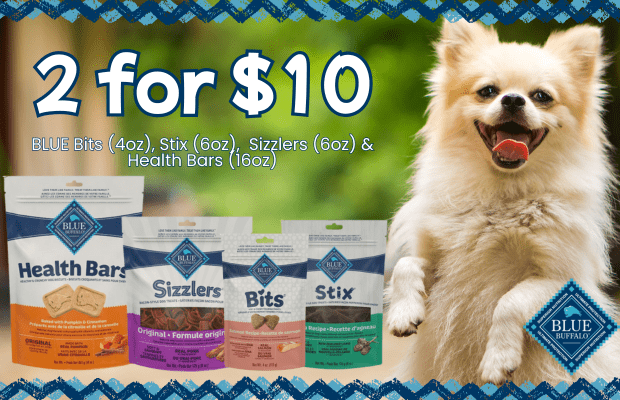 files/BLUE_Dog_October_Pair_Desktop_Banner.png
