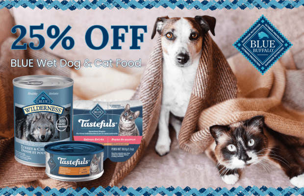 files/BLUE_May_Cans_Pair_Desktop_Banner.png