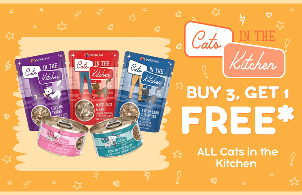 files/Cats_in_the_Kitchen_AUG_2026_Pair_Desktop_Banner.png