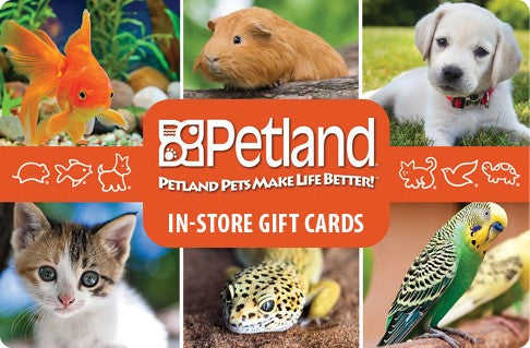 In Store Gift Cards - Check Balance