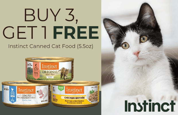 files/Instinct_June_Can_Sale_Pair_Desktop_Banner_20260602_082148_0000.png