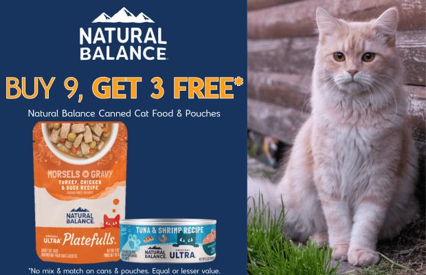 files/NB_Cat_Wet_Sale_October_Pair_Desktop_Banner_1.png