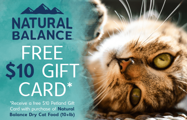 files/Natural_Balance_Cat_June_Pair_Desktop_Banner.png