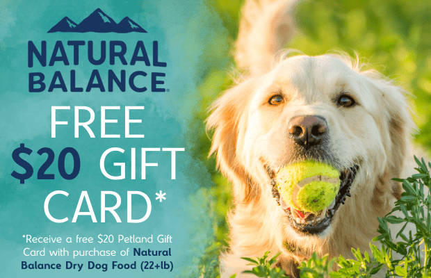 files/Natural_Balance_Dog_June_Pair_Desktop_Banner.png