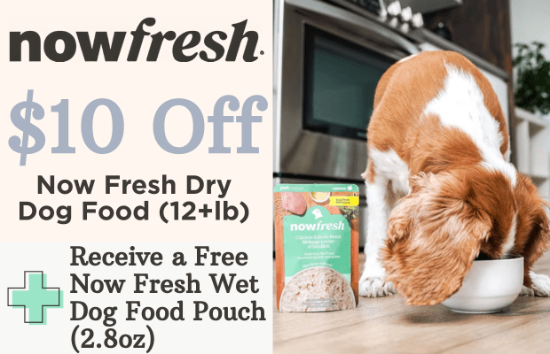 files/Now_2_Dog_September_Pair_Desktop_Banner_1c40039f-d099-4d72-8bf8-3a74a6efc6ad.png