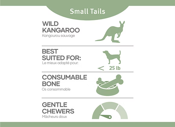 Red Dog Blue Kat Red Dog Blue Kat Kangaroo Tails, Small