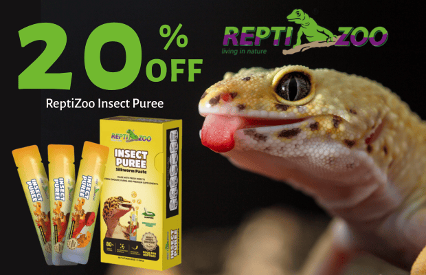 files/ReptiZoo_April_2026_Pair_Desktop_Banner.png