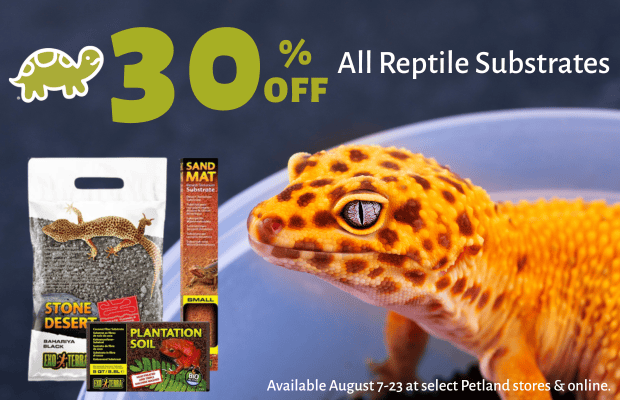 files/Reptile_Substrates_AUG_2026_Pair_Desktop_Banner.png