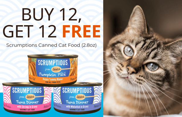 files/Scumptious_July_2026_Pair_Desktop_Banner_a4186851-2277-4a06-98f5-f8f7441c5e05.png