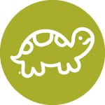 reptiles