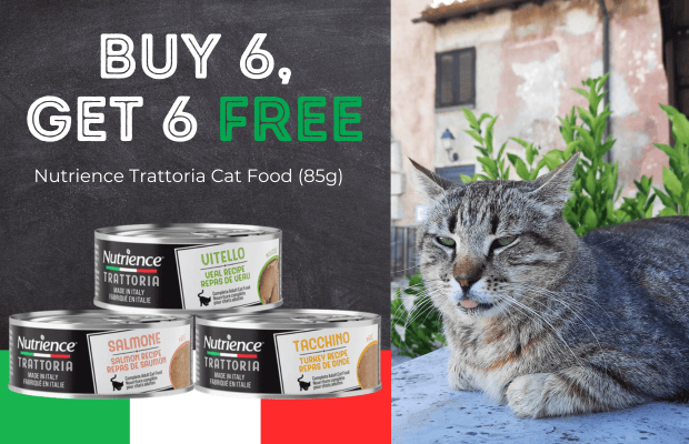 files/Trattoria_July_2026_Pair_Desktop_Banner.png