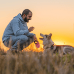 Basic Obedience Training