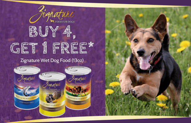 files/Zignature_2_May_Sale_Pair_Desktop_Banner.png