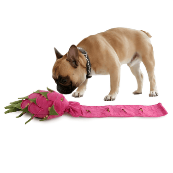 All For Paws AFP Dig It - Dragon Fruit Puzzle Toy