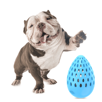 All For Paws AFP Holey Egg Indestructible Dog Toy