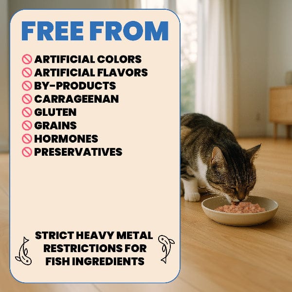 Almo Nature Almo Nature Complete HQS | Chicken with Turkey in Gravy Canned Cat Food
