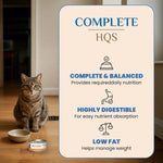 Almo Nature Almo Nature Complete HQS | Chicken with Zucchini in Gravy Canned Cat Food