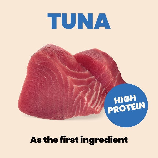 Almo Nature Almo Nature Complete HQS | Tuna with Pumpkin in Gravy Canned Cat Food