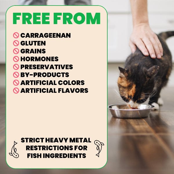 Almo Nature Almo Nature Natural HQS | Tuna and Shrimp in Broth Canned Cat Food