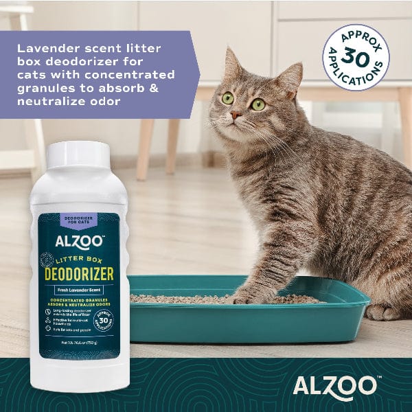 How to Deodorize Cat Litter: Easy Tips for Freshness Daily
