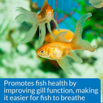 API API Aquarium Salt