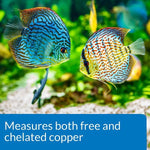 API API Copper Test Kit