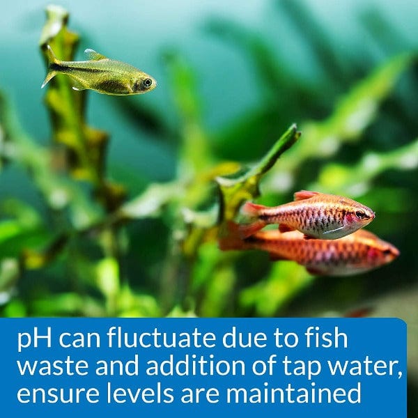 API API Freshwater pH Test Kit