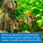 API API pH Test & Adjuster Kit