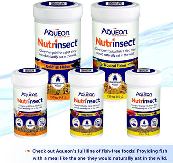 Aqueon Aqueon Nutrinsect Goldfish Flakes