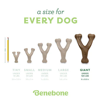Benebone Benebone Bacon Wishbone Dog Chew Toy