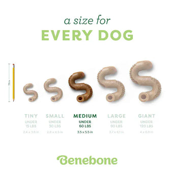 Benebone Benebone Beef Tripe Bone Dog Chew Toy